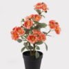 Artificial Flower 25*20*36cm Camellia in PP pot GS-03325027-O1 2025JUL YeahFlower is one of Chinese leading OEM manufacturers and exporters , supplying the silk flowers, wholesale artificial trees