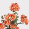 Artificial Flower 25*20*36cm Camellia in PP pot GS-03325027-O1 2025JUL YeahFlower is one of Chinese leading OEM manufacturers and exporters , supplying the silk flowers, wholesale artificial trees