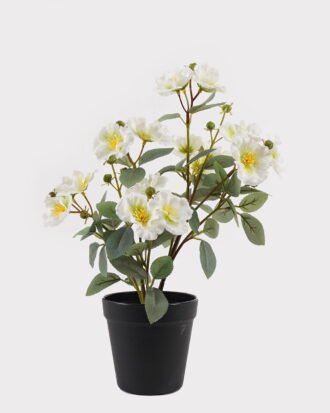 Artificial Flower 25*20*36cm Camellia in PP pot GS-03325027-W1 2025JUL YeahFlower is one of Chinese leading OEM manufacturers and exporters , supplying the silk flowers, wholesale artificial trees Artificial Flower 25*20*36cm Camellia in PP pot GS-03325027-W1 2025JUL YeahFlower is one of Chinese leading OEM manufacturers and exporters , supplying the silk flowers, wholesale artificial trees
