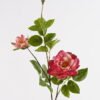 Artificial Flower 22*22*106cm Chinese rose *2 single stem GS-39125005-R2 2025AUG YeahFlower is one of Chinese leading OEM manufacturers and exporters , supplying the silk flowers, wholesale artificial trees