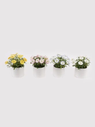 Artificial Flower 10*10*35cm Orchid in Glass ware GS-06925023 2025JUL 3,000+ sqm showroom with thousands of artificial flowers, plants & trees ready for global sourcing.
