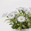 Artificial Flower 12*12*14cm Chrysanthemum indicum in  ceramic pot GS-06925024 2025JUL YeahFlower is one of Chinese leading OEM manufacturers and exporters , supplying the silk flowers, wholesale artificial trees