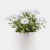 Artificial Flower 12*12*14cm Chrysanthemum indicum in  ceramic pot GS-06925024 2025JUL YeahFlower is one of Chinese leading OEM manufacturers and exporters , supplying the silk flowers, wholesale artificial trees