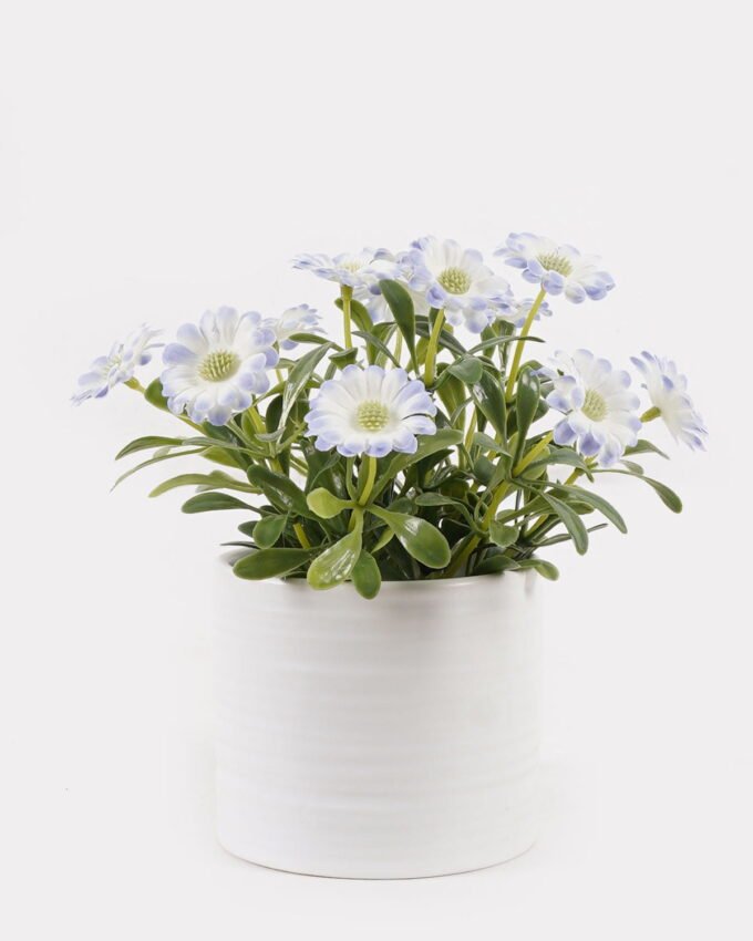 Artificial Flower 12*12*14cm Chrysanthemum indicum in  ceramic pot GS-06925024 2025JUL YeahFlower is one of Chinese leading OEM manufacturers and exporters , supplying the silk flowers, wholesale artificial trees