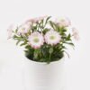 Artificial Flower 12*12*14cm Chrysanthemum indicum in  ceramic pot GS-06925024 2025JUL YeahFlower is one of Chinese leading OEM manufacturers and exporters , supplying the silk flowers, wholesale artificial trees