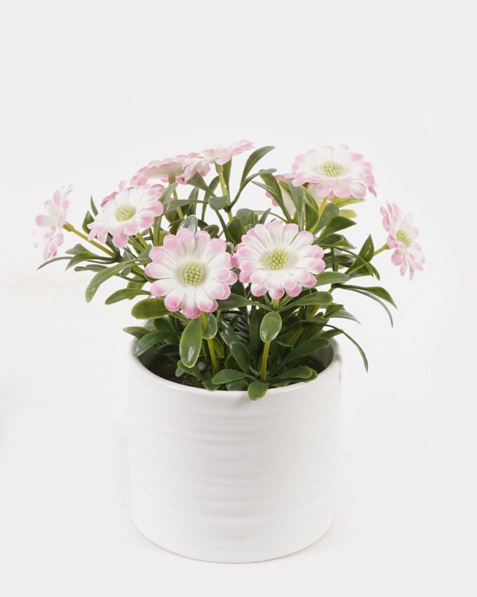 Artificial Flower 12*12*14cm Chrysanthemum indicum in  ceramic pot GS-06925024 2025JUL YeahFlower is one of Chinese leading OEM manufacturers and exporters , supplying the silk flowers, wholesale artificial trees