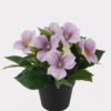 Artificial Flower Clematis in PP pot GS-03325018-Z1_1 Artificial Flower 20*20*21cm Clematis in PP pot GS-03325018-Z1 2025JUL YeahFlower is one of Chinese leading OEM manufacturers and exporters , supplying the silk flowers, wholesale artificial trees