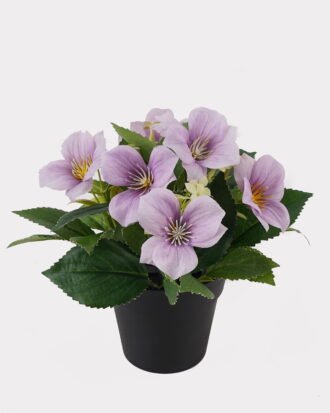 Artificial Flower 20*20*21cm Clematis in PP pot GS-03325018-Z1 2025JUL YeahFlower is one of Chinese leading OEM manufacturers and exporters , supplying the silk flowers, wholesale artificial trees Artificial Flower 20*20*21cm Clematis in PP pot GS-03325018-Z1 2025JUL YeahFlower is one of Chinese leading OEM manufacturers and exporters , supplying the silk flowers, wholesale artificial trees