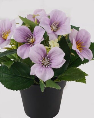 Artificial Flower 20*20*21cm Clematis in PP pot GS-03325018-Z1 2025JUL YeahFlower is one of Chinese leading OEM manufacturers and exporters , supplying the silk flowers, wholesale artificial trees Artificial Flower 20*20*21cm Clematis in PP pot GS-03325018-Z1 2025JUL YeahFlower is one of Chinese leading OEM manufacturers and exporters , supplying the silk flowers, wholesale artificial trees