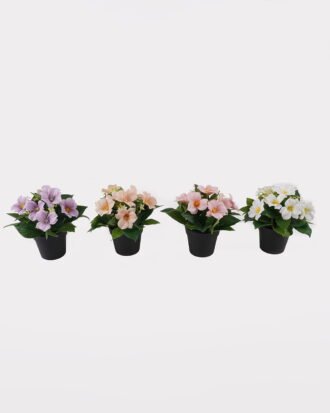 Artificial Flower 20*20*21cm Clematis in PP pot GS-03325018 2025JUL YeahFlower is one of Chinese leading OEM manufacturers and exporters , supplying the silk flowers, wholesale artificial trees Artificial Flower 20*20*21cm Clematis in PP pot GS-03325018 2025JUL YeahFlower is one of Chinese leading OEM manufacturers and exporters , supplying the silk flowers, wholesale artificial trees