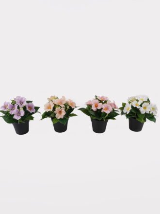 Artificial Flower 20*20*21cm Wild flower in PP pot GS-03325017 2025JUL 3,000+ sqm showroom with thousands of artificial flowers, plants & trees ready for global sourcing.
