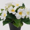 Artificial Flower 20*20*21cm Clematis in PP pot GS-03325018 2025JUL YeahFlower is one of Chinese leading OEM manufacturers and exporters , supplying the silk flowers, wholesale artificial trees