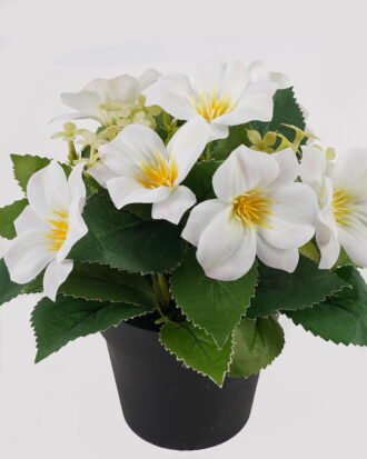 Artificial Flower 20*20*21cm Clematis in PP pot GS-03325018 2025JUL YeahFlower is one of Chinese leading OEM manufacturers and exporters , supplying the silk flowers, wholesale artificial trees Artificial Flower 20*20*21cm Clematis in PP pot GS-03325018 2025JUL YeahFlower is one of Chinese leading OEM manufacturers and exporters , supplying the silk flowers, wholesale artificial trees