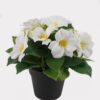 Artificial Flower 20*20*21cm Clematis in PP pot GS-03325018 2025JUL YeahFlower is one of Chinese leading OEM manufacturers and exporters , supplying the silk flowers, wholesale artificial trees