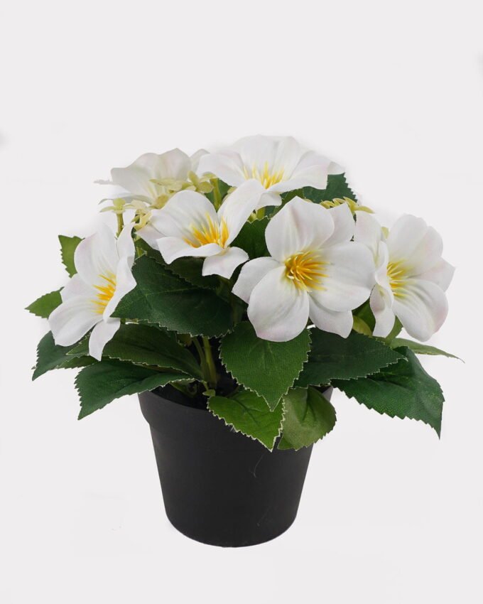 Artificial Flower 20*20*21cm Clematis in PP pot GS-03325018 2025JUL YeahFlower is one of Chinese leading OEM manufacturers and exporters , supplying the silk flowers, wholesale artificial trees
