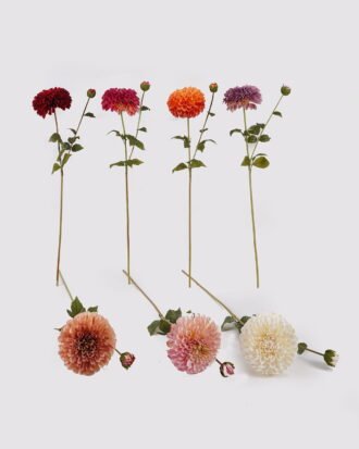 Artificial Flower 20*20*80cm Dahlia *2 single stem GS-79225006 2025SEP YeahFlower is one of Chinese leading OEM manufacturers and exporters , supplying the silk flowers, wholesale artificial trees Artificial Flower 20*20*80cm Dahlia *2 single stem GS-79225006 2025SEP YeahFlower is one of Chinese leading OEM manufacturers and exporters , supplying the silk flowers, wholesale artificial trees