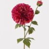 Artificial Flower Dahlia 2 single stem GS-79225006_3 Artificial Flower 20*20*80cm Dahlia *2 single stem GS-79225006 2025SEP YeahFlower is one of Chinese leading OEM manufacturers and exporters , supplying the silk flowers, wholesale artificial trees