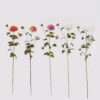 Artificial Flower 12*12*68cm Dahlia pinnata Cav.*4  single stem GS-79225004 2025SEP YeahFlower is one of Chinese leading OEM manufacturers and exporters , supplying the silk flowers, wholesale artificial trees