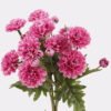 Artificial Flower 12*12*26cm Daisy*6 bouquet GS-128J25008 2025JUL YeahFlower is one of Chinese leading OEM manufacturers and exporters , supplying the silk flowers, wholesale artificial trees