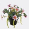 Artificial Flower 20*20*18cm Daisy in PP pot GS-03325013-P1 2025JUL YeahFlower is one of Chinese leading OEM manufacturers and exporters , supplying the silk flowers, wholesale artificial trees