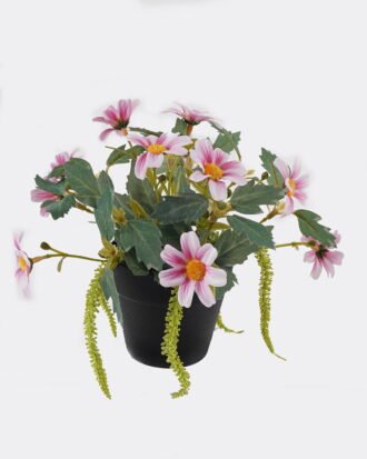 Artificial Flower 20*20*18cm Daisy in PP pot GS-03325013-P1 2025JUL YeahFlower is one of Chinese leading OEM manufacturers and exporters , supplying the silk flowers, wholesale artificial trees Artificial Flower 20*20*18cm Daisy in PP pot GS-03325013-P1 2025JUL YeahFlower is one of Chinese leading OEM manufacturers and exporters , supplying the silk flowers, wholesale artificial trees