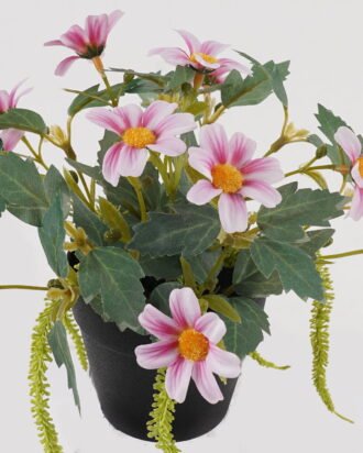 Artificial Flower 20*20*18cm Daisy in PP pot GS-03325013-P1 2025JUL YeahFlower is one of Chinese leading OEM manufacturers and exporters , supplying the silk flowers, wholesale artificial trees Artificial Flower 20*20*18cm Daisy in PP pot GS-03325013-P1 2025JUL YeahFlower is one of Chinese leading OEM manufacturers and exporters , supplying the silk flowers, wholesale artificial trees