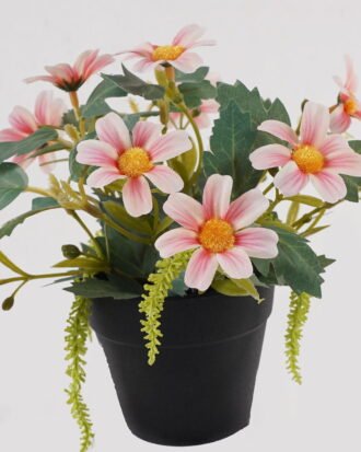 Artificial Flower 20*20*18cm Daisy in PP pot GS-03325013 2025JUL YeahFlower is one of Chinese leading OEM manufacturers and exporters , supplying the silk flowers, wholesale artificial trees Artificial Flower 20*20*18cm Daisy in PP pot GS-03325013 2025JUL YeahFlower is one of Chinese leading OEM manufacturers and exporters , supplying the silk flowers, wholesale artificial trees