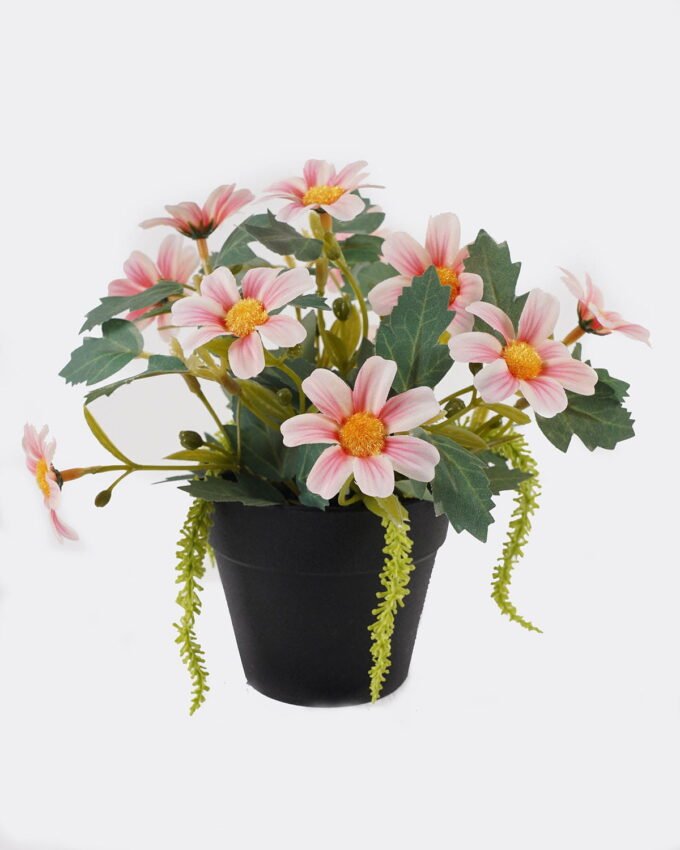 Artificial Flower 20*20*18cm Daisy in PP pot GS-03325013 2025JUL YeahFlower is one of Chinese leading OEM manufacturers and exporters , supplying the silk flowers, wholesale artificial trees