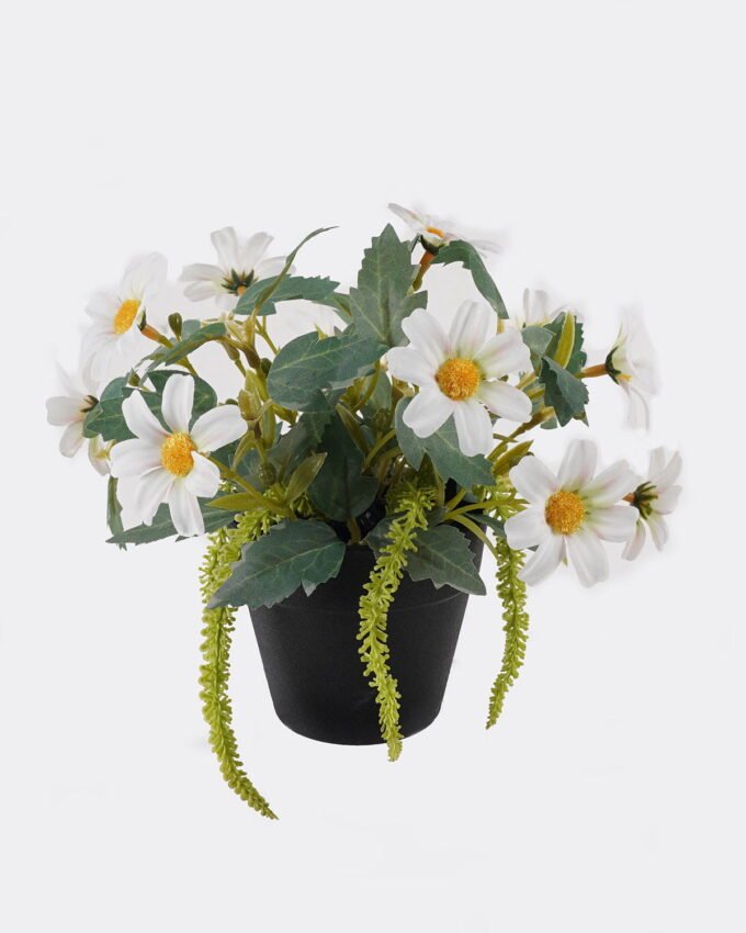 Artificial Flower 20*20*18cm Daisy in PP pot GS-03325013 2025JUL YeahFlower is one of Chinese leading OEM manufacturers and exporters , supplying the silk flowers, wholesale artificial trees