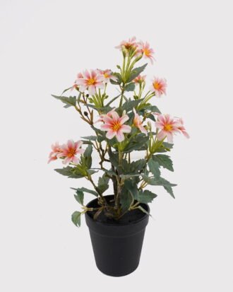 Artificial Flower 22*22*37cm Daisy in PP pot GS-03325026-C1 2025JUL YeahFlower is one of Chinese leading OEM manufacturers and exporters , supplying the silk flowers, wholesale artificial trees Artificial Flower 22*22*37cm Daisy in PP pot GS-03325026-C1 2025JUL YeahFlower is one of Chinese leading OEM manufacturers and exporters , supplying the silk flowers, wholesale artificial trees
