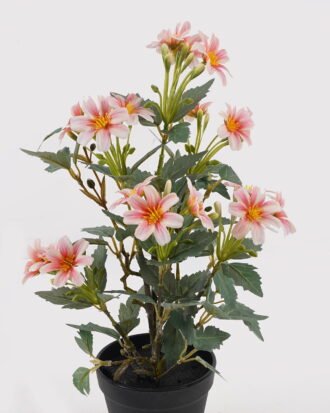 Artificial Flower 22*22*37cm Daisy in PP pot GS-03325026-C1 2025JUL YeahFlower is one of Chinese leading OEM manufacturers and exporters , supplying the silk flowers, wholesale artificial trees Artificial Flower 22*22*37cm Daisy in PP pot GS-03325026-C1 2025JUL YeahFlower is one of Chinese leading OEM manufacturers and exporters , supplying the silk flowers, wholesale artificial trees