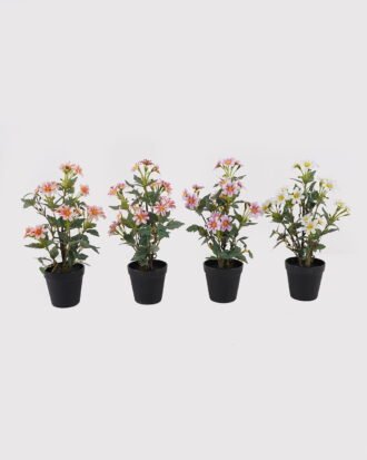 Artificial Flower 22*22*37cm Daisy in PP pot GS-03325026 2025JUL YeahFlower is one of Chinese leading OEM manufacturers and exporters , supplying the silk flowers, wholesale artificial trees Artificial Flower 22*22*37cm Daisy in PP pot GS-03325026 2025JUL YeahFlower is one of Chinese leading OEM manufacturers and exporters , supplying the silk flowers, wholesale artificial trees