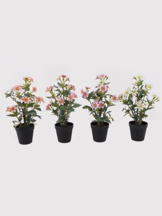 Artificial Flower 22*22*37cm Daisy in PP pot GS-03325026-C1 2025JUL 3,000+ sqm showroom with thousands of artificial flowers, plants & trees ready for global sourcing.