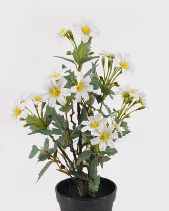 Artificial Flower 22*22*37cm Daisy in PP pot GS-03325026 2025JUL YeahFlower is one of Chinese leading OEM manufacturers and exporters , supplying the silk flowers, wholesale artificial trees Artificial Flower 22*22*37cm Daisy in PP pot GS-03325026 2025JUL YeahFlower is one of Chinese leading OEM manufacturers and exporters , supplying the silk flowers, wholesale artificial trees