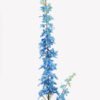 Artificial Flower 16*16*125cm Delphinium *2 ajacis single stem GS-76825001 2025SEP YeahFlower is one of Chinese leading OEM manufacturers and exporters , supplying the silk flowers, wholesale artificial trees