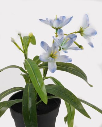 Artificial Flower 20*20*24cm Dendrobium in PP pot GS-03325010 2025JUL YeahFlower is one of Chinese leading OEM manufacturers and exporters , supplying the silk flowers, wholesale artificial trees Artificial Flower 20*20*24cm Dendrobium in PP pot GS-03325010 2025JUL YeahFlower is one of Chinese leading OEM manufacturers and exporters , supplying the silk flowers, wholesale artificial trees