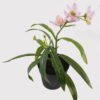 Artificial Flower 20*20*24cm Dendrobium in PP pot GS-03325010 2025JUL YeahFlower is one of Chinese leading OEM manufacturers and exporters , supplying the silk flowers, wholesale artificial trees