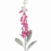 Artificial Flower 15*15*120cm Digitalis purpurea single stem GS-79825001-R1 2025SEP YeahFlower is one of Chinese leading OEM manufacturers and exporters , supplying the silk flowers, wholesale artificial trees