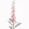 Artificial Flower 15*15*120cm Digitalis purpurea single stem GS-79825001 2025SEP YeahFlower is one of Chinese leading OEM manufacturers and exporters , supplying the silk flowers, wholesale artificial trees