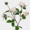 Artificial Flower 18*18*54cm Flower *5 single stem GS-25825002-W1 2025JUL YeahFlower is one of Chinese leading OEM manufacturers and exporters , supplying the silk flowers, wholesale artificial trees