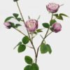 Artificial Flower 18*18*54cm Flower *5 single stem GS-25825002-Z1 2025JUL YeahFlower is one of Chinese leading OEM manufacturers and exporters , supplying the silk flowers, wholesale artificial trees