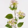 Artificial Flower 21*21*83cm Flower single stem GS-39125004-P1 2025AUG YeahFlower is one of Chinese leading OEM manufacturers and exporters , supplying the silk flowers, wholesale artificial trees