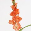 Artificial Flower 12*12*93cm Gladiolus *8 single stem GS-17725028-O1 2025JUL YeahFlower is one of Chinese leading OEM manufacturers and exporters , supplying the silk flowers, wholesale artificial trees