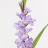 Artificial Flower 12*12*93cm Gladiolus *8 single stem GS-17725028-Z1 2025JUL YeahFlower is one of Chinese leading OEM manufacturers and exporters , supplying the silk flowers, wholesale artificial trees