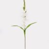 Artificial Flower 12*12*93cm Gladiolus *8 single stem GS-17725028 2025JUL YeahFlower is one of Chinese leading OEM manufacturers and exporters , supplying the silk flowers, wholesale artificial trees