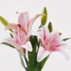Artificial Flower 18*18*24cm Greenish lily flower in Glass ware GS-06925022 2025JUL YeahFlower is one of Chinese leading OEM manufacturers and exporters , supplying the silk flowers, wholesale artificial trees
