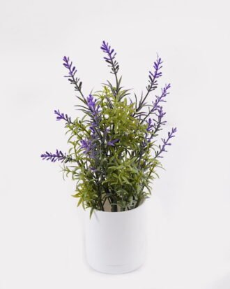 Artificial Flower 14*14*26cm Lavender in PP pot GS-79925002 2025SEP YeahFlower is one of Chinese leading OEM manufacturers and exporters , supplying the silk flowers, wholesale artificial trees Artificial Flower 14*14*26cm Lavender in PP pot GS-79925002 2025SEP YeahFlower is one of Chinese leading OEM manufacturers and exporters , supplying the silk flowers, wholesale artificial trees