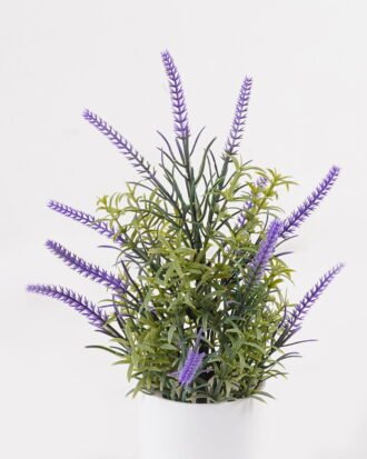 Artificial Flower 16*16*26cm Lavender in PP pot GS-79925003 2025SEP YeahFlower is one of Chinese leading OEM manufacturers and exporters , supplying the silk flowers, wholesale artificial trees Artificial Flower 16*16*26cm Lavender in PP pot GS-79925003 2025SEP YeahFlower is one of Chinese leading OEM manufacturers and exporters , supplying the silk flowers, wholesale artificial trees