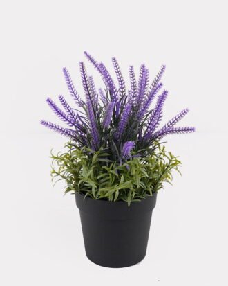 Artificial Flower 13*13*25cm Lavender in PP pot GS-79925006 2025SEP YeahFlower is one of Chinese leading OEM manufacturers and exporters , supplying the silk flowers, wholesale artificial trees Artificial Flower 13*13*25cm Lavender in PP pot GS-79925006 2025SEP YeahFlower is one of Chinese leading OEM manufacturers and exporters , supplying the silk flowers, wholesale artificial trees