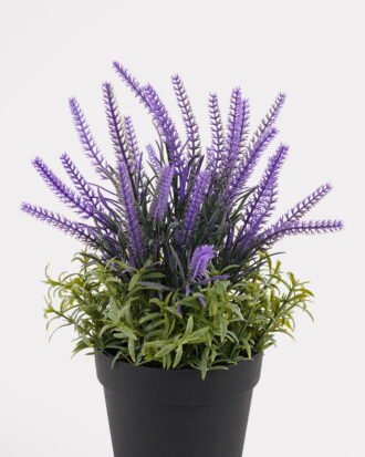 Artificial Flower 13*13*25cm Lavender in PP pot GS-79925006 2025SEP YeahFlower is one of Chinese leading OEM manufacturers and exporters , supplying the silk flowers, wholesale artificial trees Artificial Flower 13*13*25cm Lavender in PP pot GS-79925006 2025SEP YeahFlower is one of Chinese leading OEM manufacturers and exporters , supplying the silk flowers, wholesale artificial trees